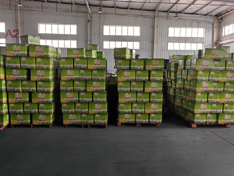 蘇州到建湖物流公司